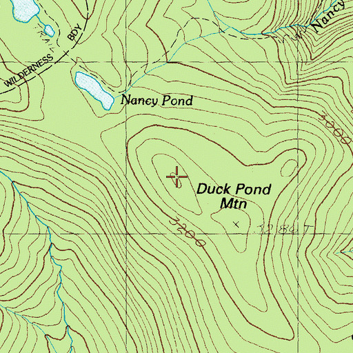 Topographic Map of Duck Pond Mountain, NH