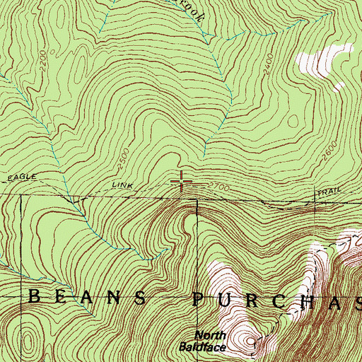Topographic Map of Eagle Link Trail, NH