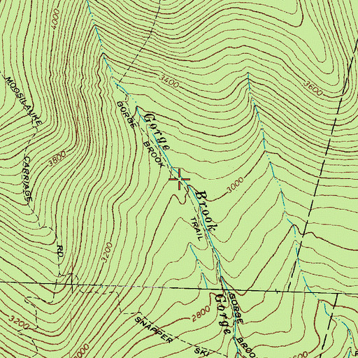 Topographic Map of Gorge Brook Trail, NH