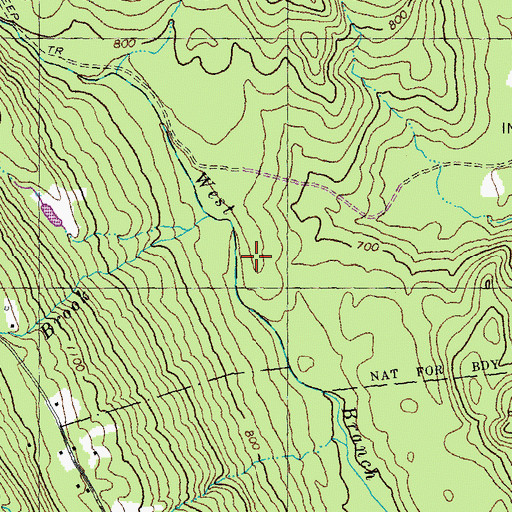 Topographic Map of Great Brook, NH