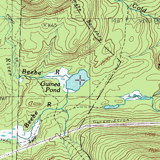 Topographic Map of Guinea Pond, NH