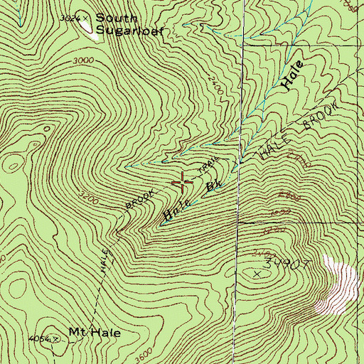 Topographic Map of Hale Brook Trail, NH