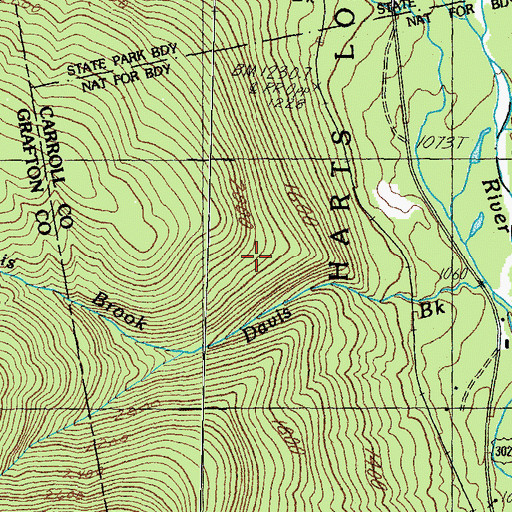 Topographic Map of Town of Hart's Location, NH