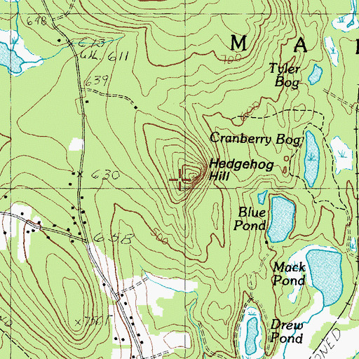 Topographic Map of Hedgehog Hill, NH