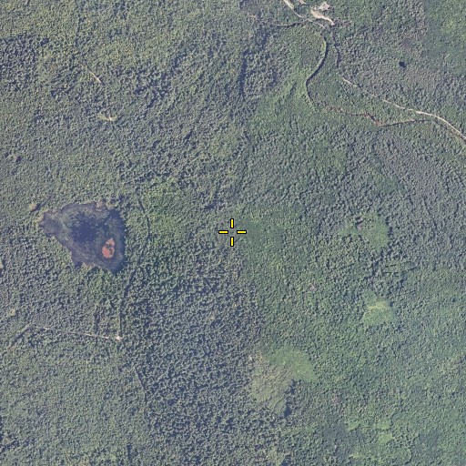 Aerial/Satellite Image of Hemenway State Reservation, NH