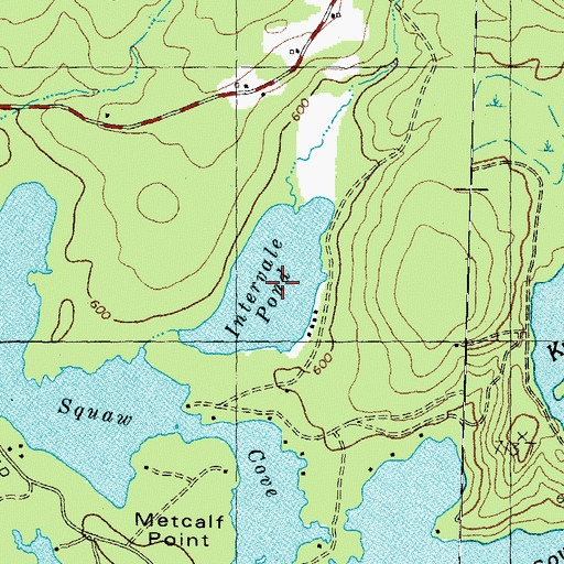 Topographic Map of Intervale Pond, NH