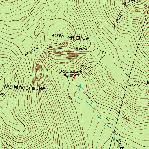 Topographic Map of Jobildunk Ravine, NH