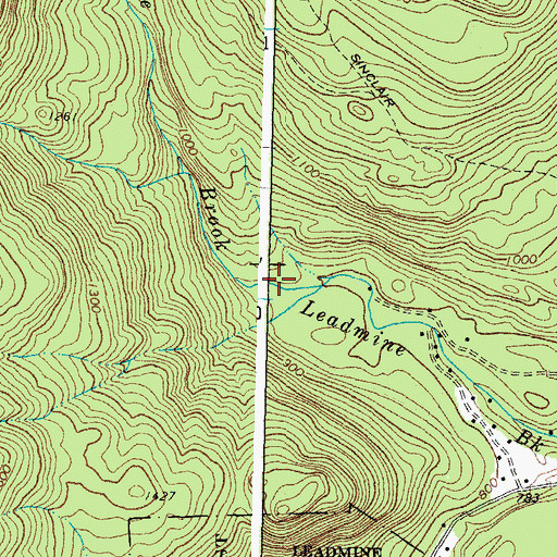 Topographic Map of Leadmine Brook, NH