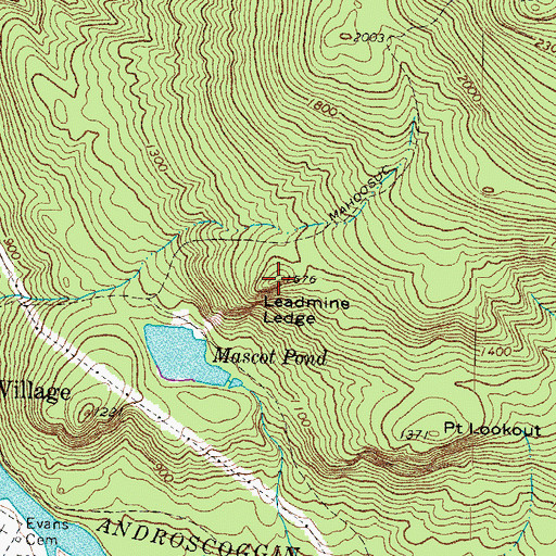 Topographic Map of Leadmine Ledge, NH
