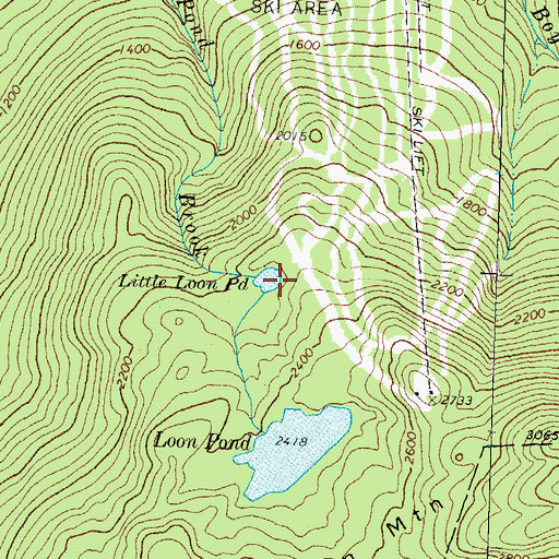 Topographic Map of Little Loon Pond, NH