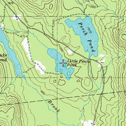 Topographic Map of Little Perch Pond, NH