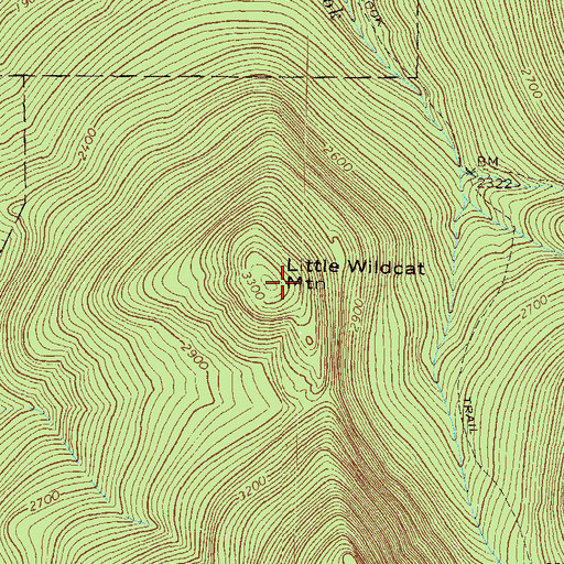 Topographic Map of Little Wildcat Mountain, NH