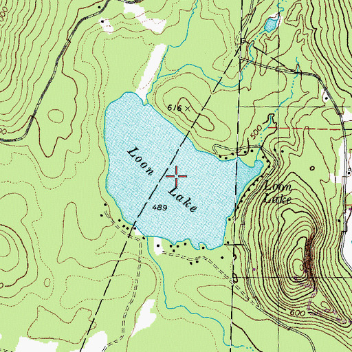 Topographic Map of Loon Lake, NH