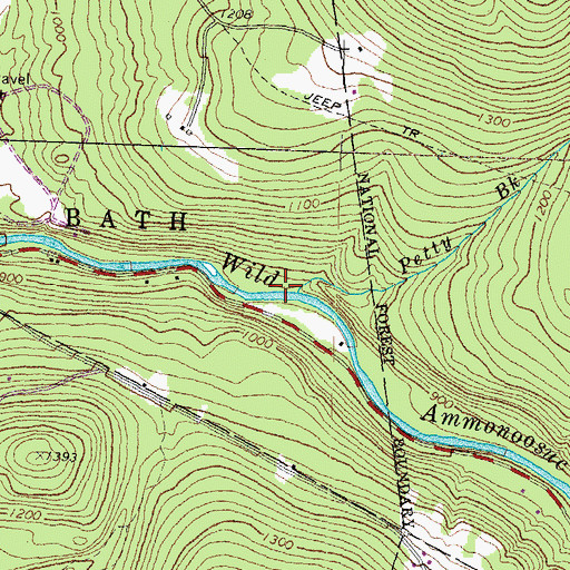 Topographic Map of Petty Brook, NH