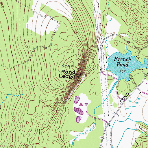Topographic Map of Pond Ledge, NH