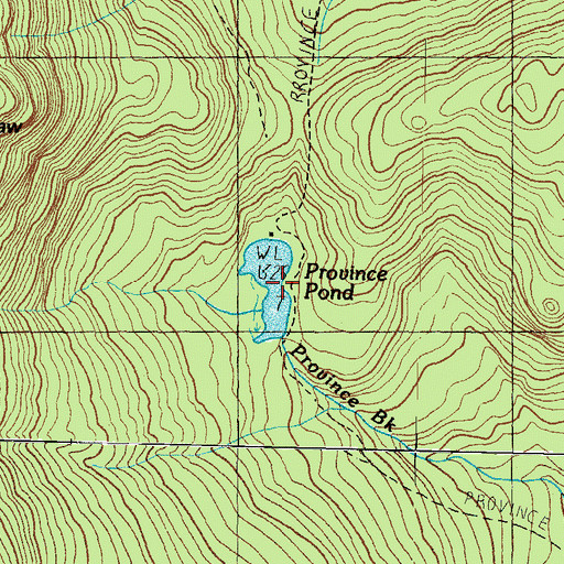 Topographic Map of Province Pond, NH