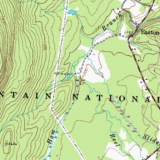 Topographic Map of Reel Brook, NH
