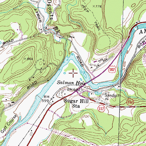 Topographic Map of Salmon Hole, NH