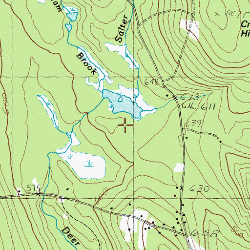Topographic Map of Salter Brook, NH