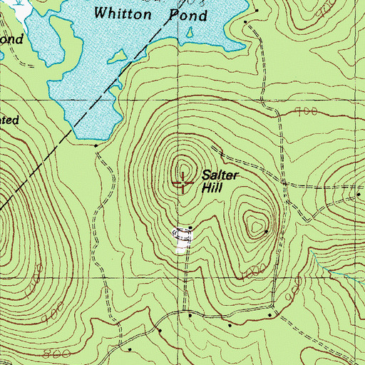 Topographic Map of Salter Hill, NH