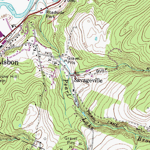 Topographic Map of Savageville, NH