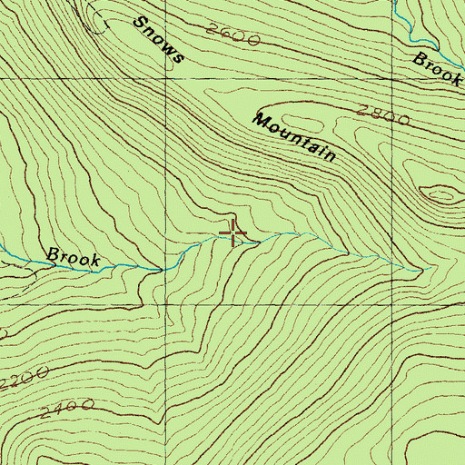 Topographic Map of Snows Brook Trail, NH