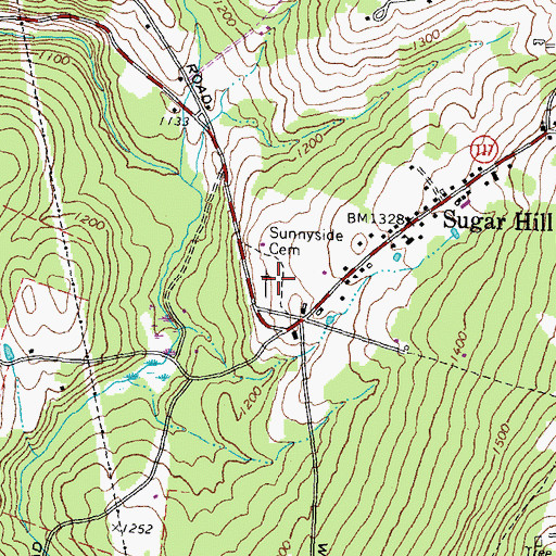 Topographic Map of Sunny Side Cemetery, NH