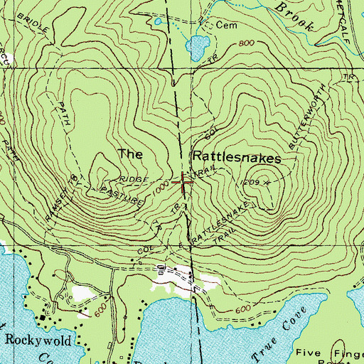 Topographic Map of The Rattlesnakes, NH