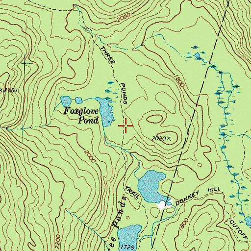 Topographic Map of Three Ponds Trail, NH