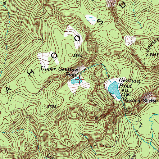 Topographic Map of Upper Gentian Pond, NH
