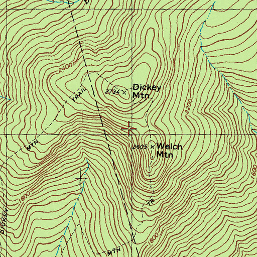 Topographic Map of Welch Mountain, NH
