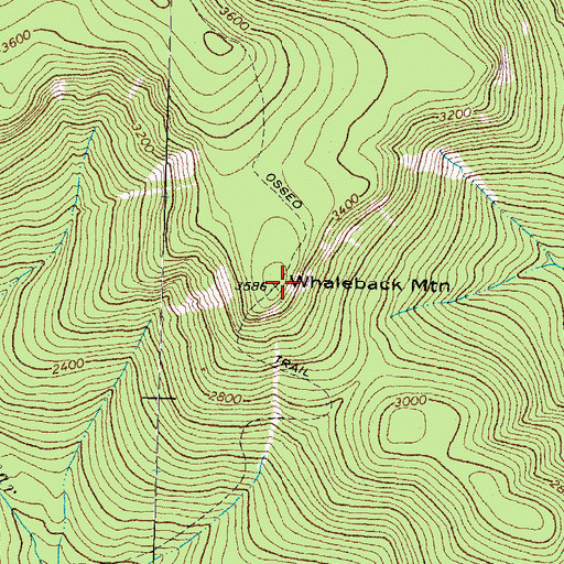 Topographic Map of Whaleback Mountain, NH