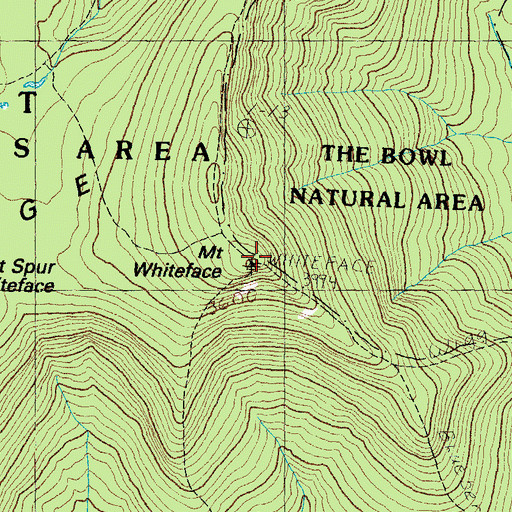 Topographic Map of Mount Whiteface, NH