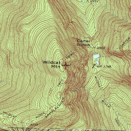 Topographic Map of Wildcat Mountain, NH