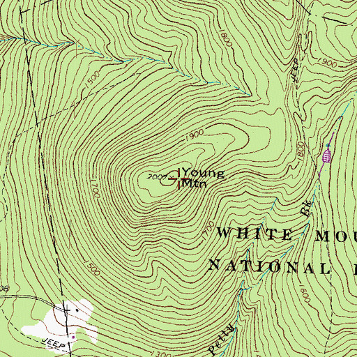 Topographic Map of Young Mountain, NH