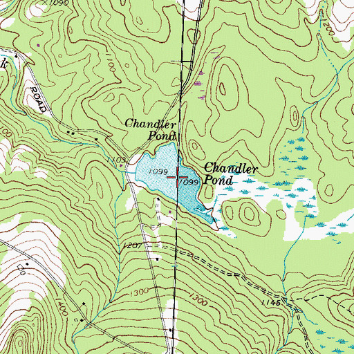 Topographic Map of Chandler Pond, NH