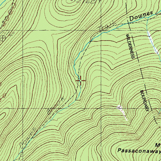 Topographic Map of Downes Brook Trail, NH
