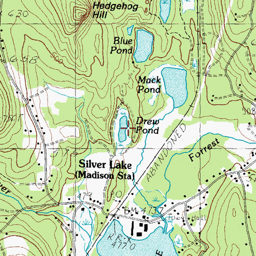 Topographic Map of Drew Pond, NH