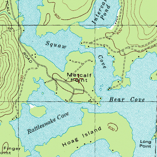 Topographic Map of Metcalf Point, NH