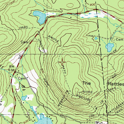 Topographic Map of Bridle Path, NH