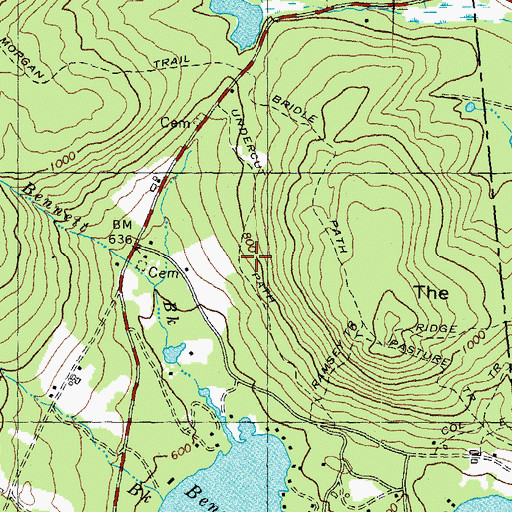 Topographic Map of Undercut Trail, NH