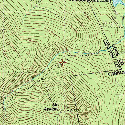 Topographic Map of Avalon Trail, NH