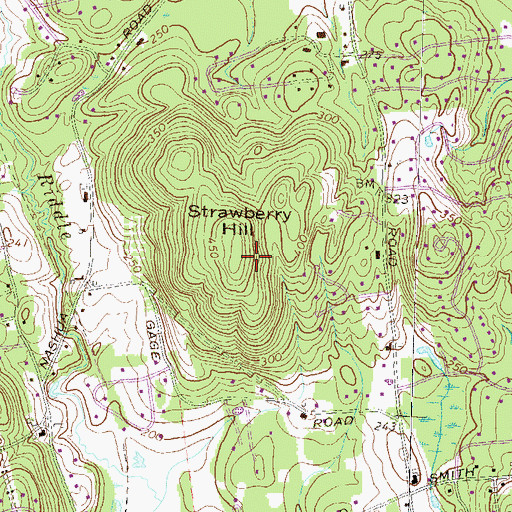 Topographic Map of Dean Kamen II Heliport, NH