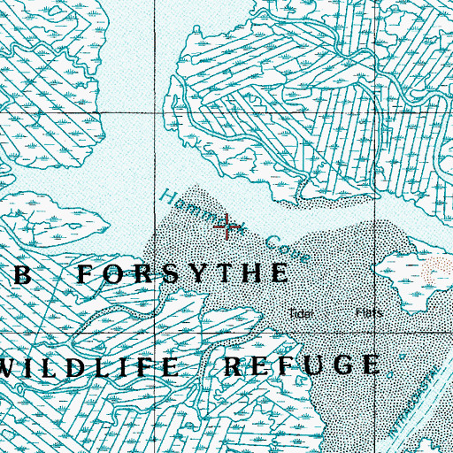 Topographic Map of Hammock Cove, NJ