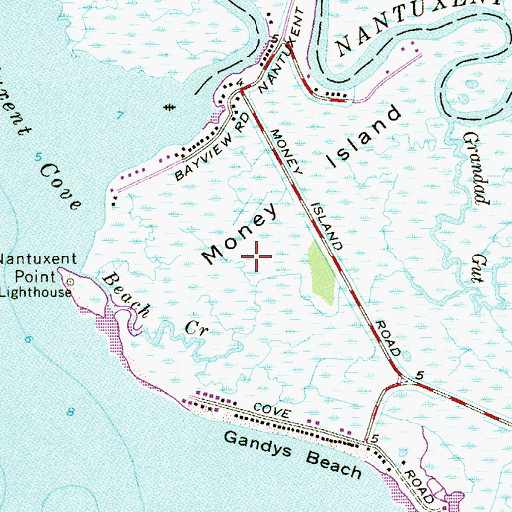 Topographic Map of Money Island, NJ