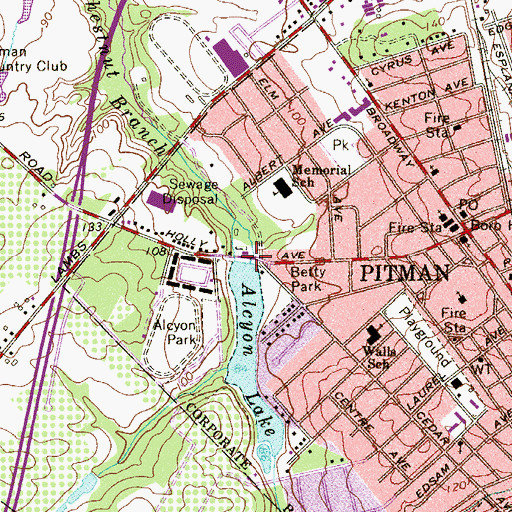 Topographic Map of Alcyon Lake, NJ