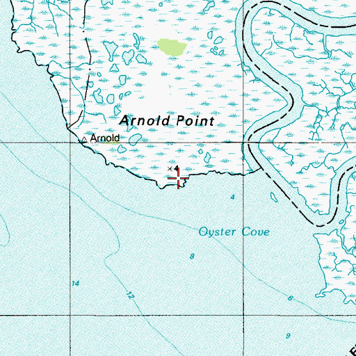Topographic Map of Arnold Point, NJ