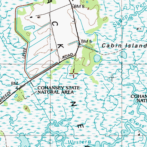 Topographic Map of Back Neck, NJ