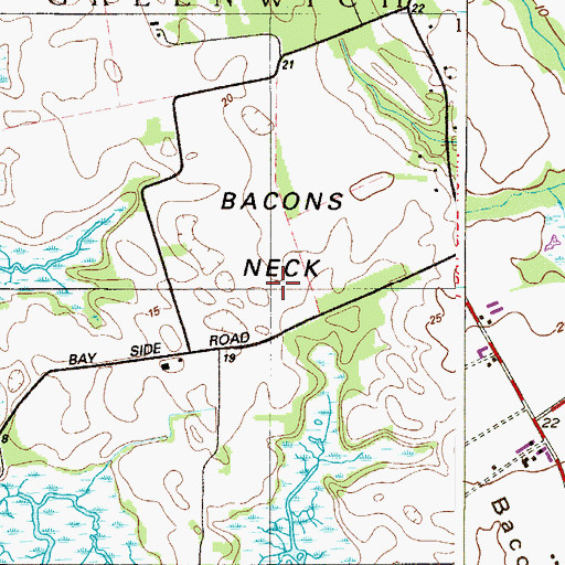 Topographic Map of Bacons Neck, NJ
