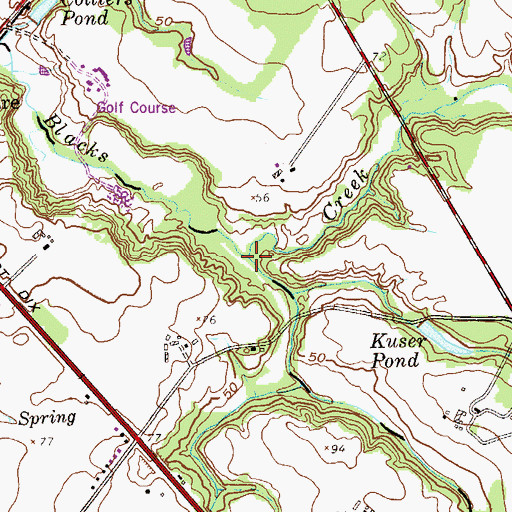 Topographic Map of Bacons Run, NJ